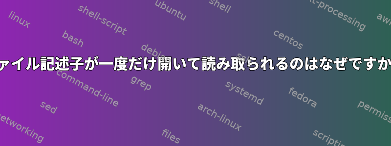 ファイル記述子が一度だけ開いて読み取られるのはなぜですか？