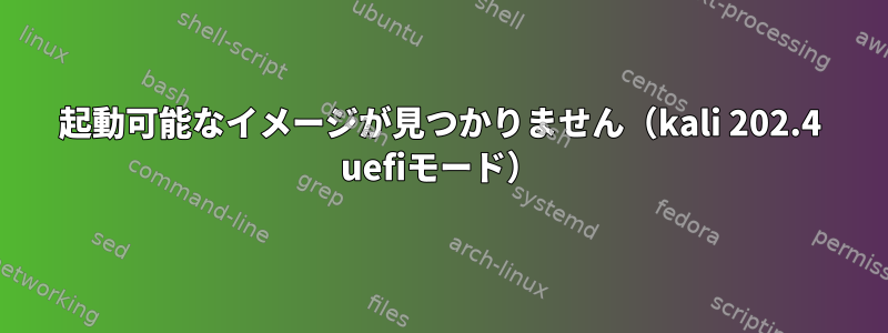 起動可能なイメージが見つかりません（kali 202.4 uefiモード）