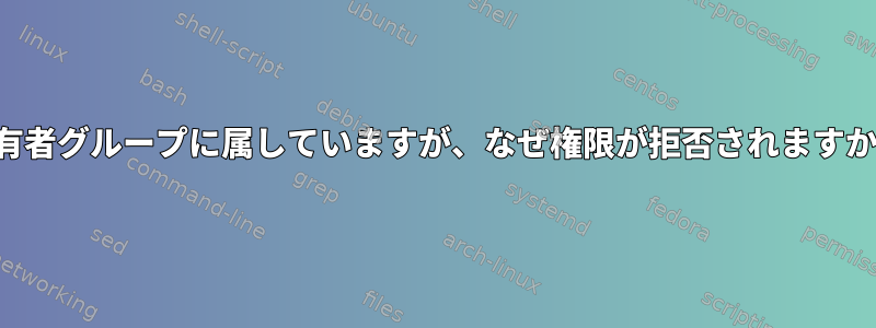 所有者グループに属していますが、なぜ権限が拒否されますか？