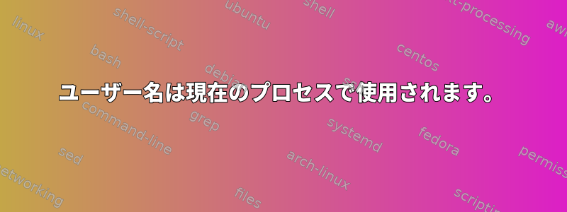 ユーザー名は現在のプロセスで使用されます。