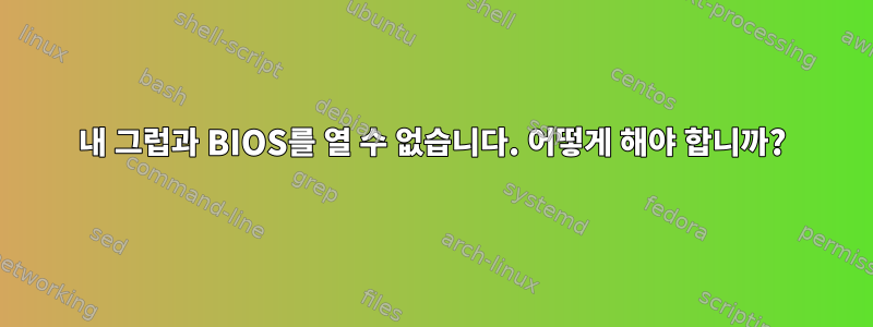 내 그럽과 BIOS를 열 수 없습니다. 어떻게 해야 합니까?