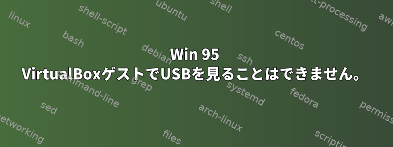 Win 95 VirtualBoxゲストでUSBを見ることはできません。