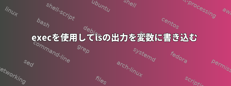 execを使用してlsの出力を変数に書き込む