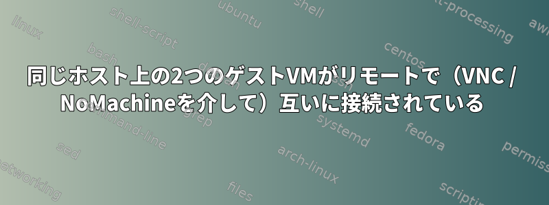 同じホスト上の2つのゲストVMがリモートで（VNC / NoMachineを介して）互いに接続されている