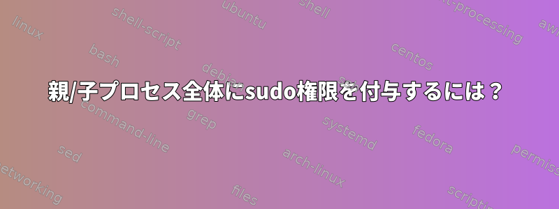 親/子プロセス全体にsudo権限を付与するには？