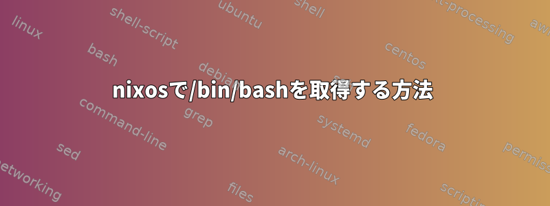 nixosで/bin/bashを取得する方法