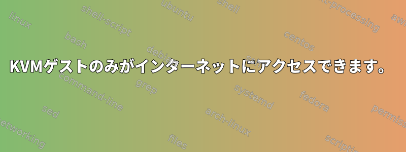 KVMゲストのみがインターネットにアクセスできます。