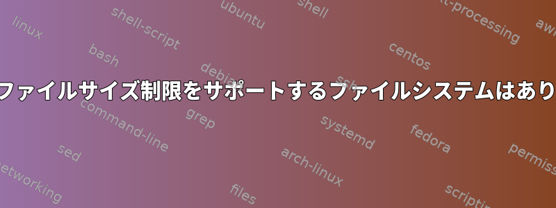 カスタムファイルサイズ制限をサポートするファイルシステムはありますか？