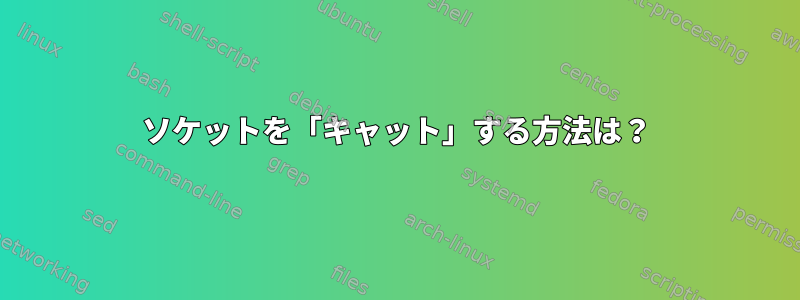 ソケットを「キャット」する方法は？