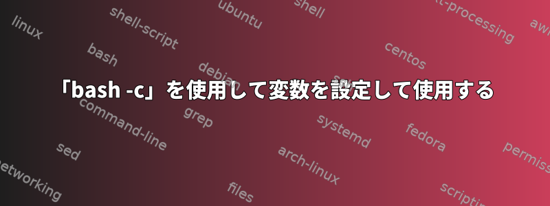 「bash -c」を使用して変数を設定して使用する