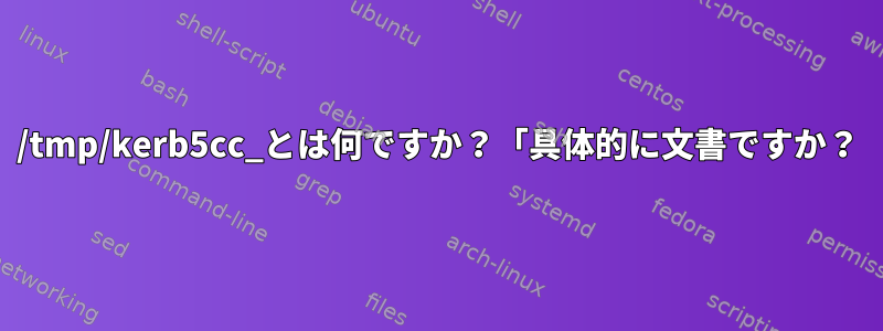 /tmp/kerb5cc_とは何ですか？「具体的に文書ですか？