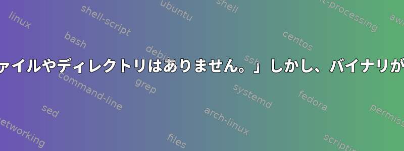 「該当するファイルやディレクトリはありません。」しかし、バイナリが存在します。