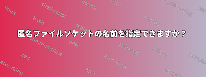 匿名ファイルソケットの名前を指定できますか？