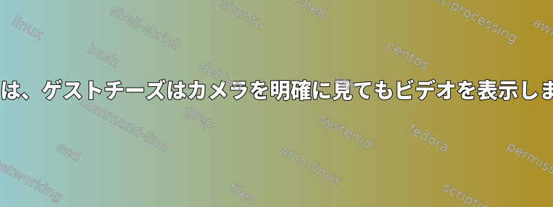 VBoxでは、ゲストチーズはカメラを明確に見てもビデオを表示しません。