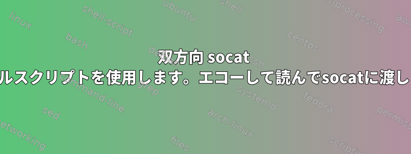 双方向 socat にシェルスクリプトを使用します。エコーして読んでsocatに渡します。