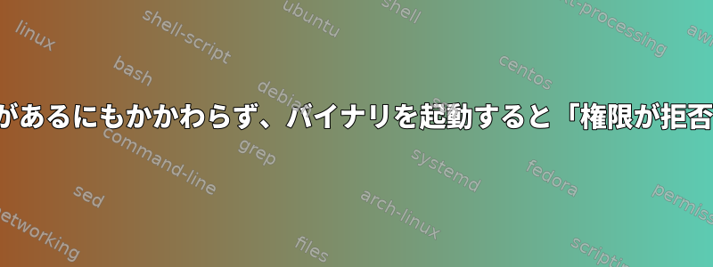 「rwx」権限があるにもかかわらず、バイナリを起動すると「権限が拒否されました」