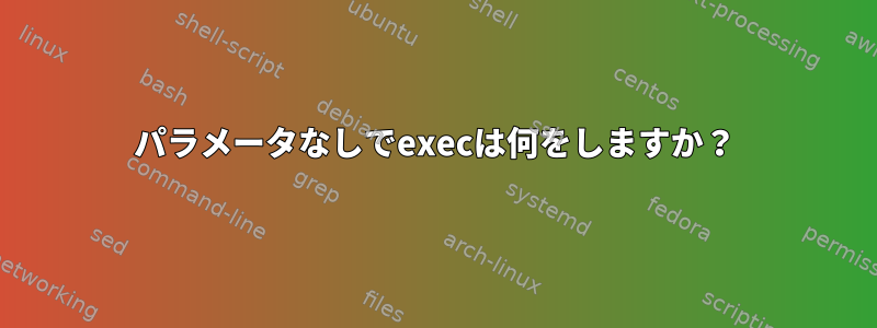 パラメータなしでexecは何をしますか？