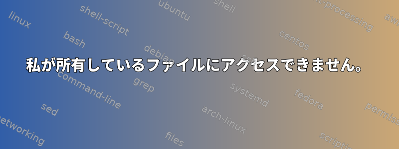 私が所有しているファイルにアクセスできません。