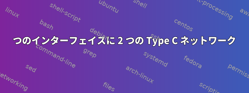 1 つのインターフェイスに 2 つの Type C ネットワーク