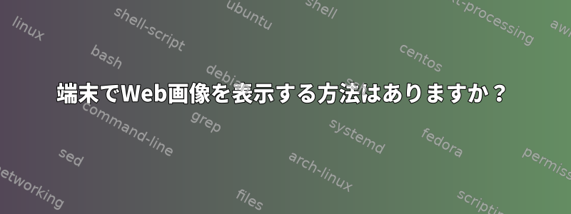 端末でWeb画像を表示する方法はありますか？