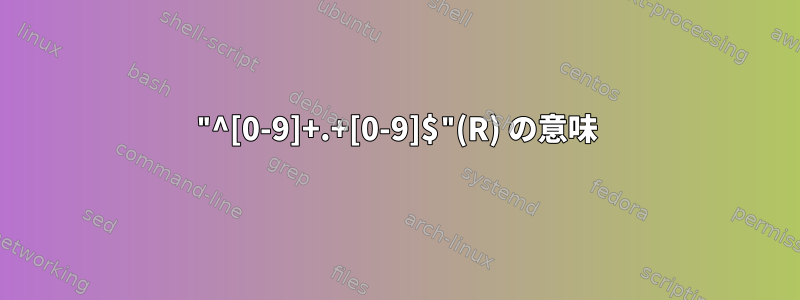 "^[0-9]+.+[0-9]$"(R) の意味