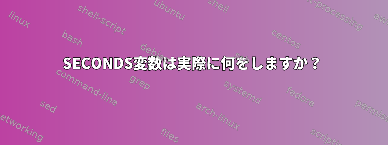 SECONDS変数は実際に何をしますか？