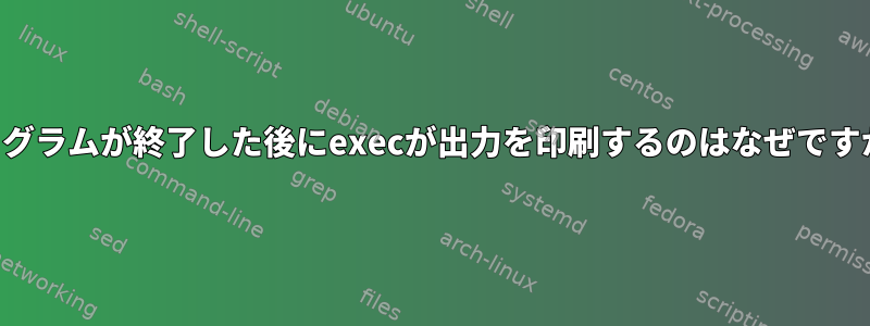 プログラムが終了した後にexecが出力を印刷するのはなぜですか？