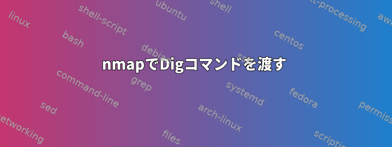 nmapでDigコマンドを渡す