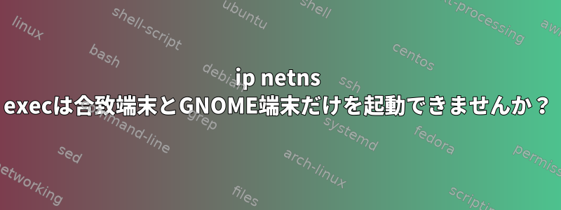 ip netns execは合致端末とGNOME端末だけを起動できませんか？