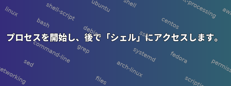 プロセスを開始し、後で「シェル」にアクセスします。