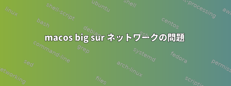 macos big sur ネットワークの問題