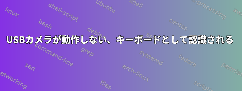 USBカメラが動作しない、キーボードとして認識される