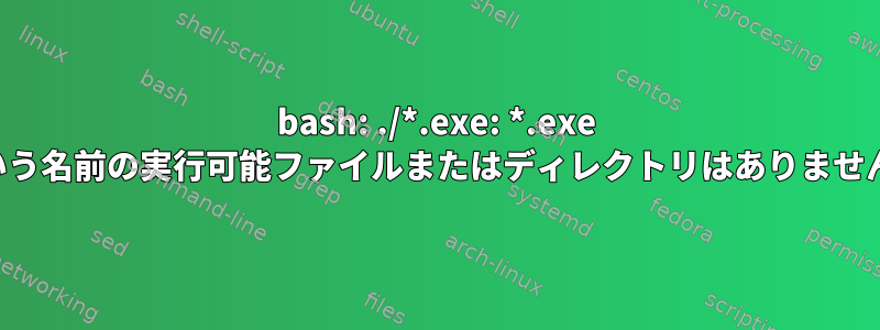 bash: ./*.exe: *.exe という名前の実行可能ファイルまたはディレクトリはありません。