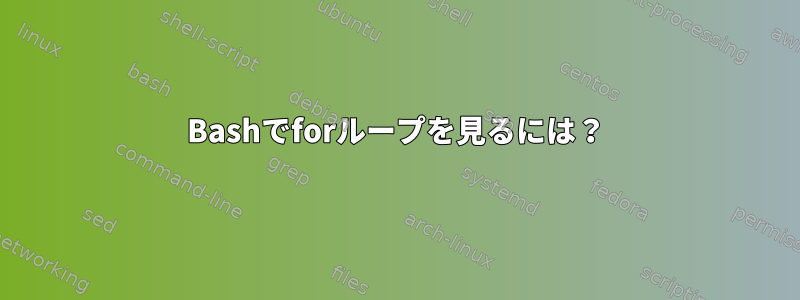 Bashでforループを見るには？