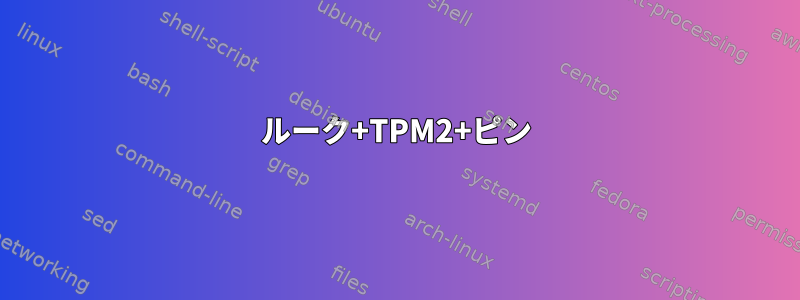 ルーク+TPM2+ピン