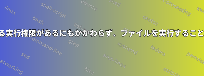 ファイルに対する実行権限があるにもかかわらず、ファイルを実行することはできません。