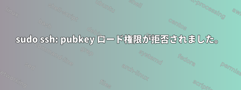 sudo ssh: pubkey ロード権限が拒否されました。