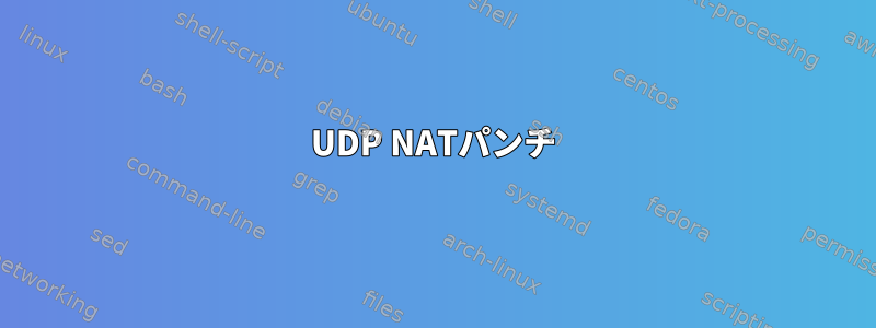 UDP NATパンチ