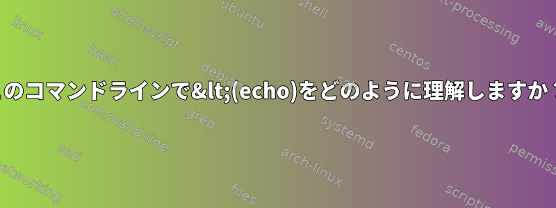 このコマンドラインで&lt;(echo)をどのように理解しますか？