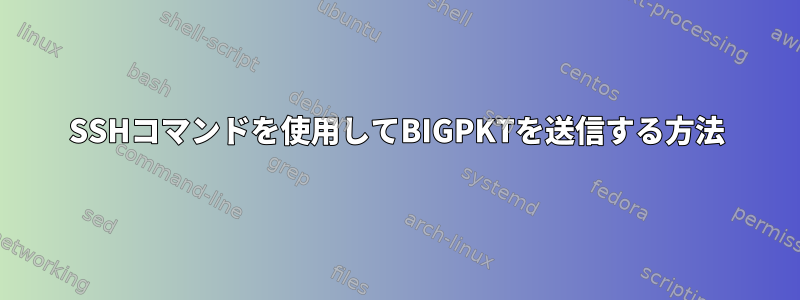 SSHコマンドを使用してBIGPKTを送信する方法