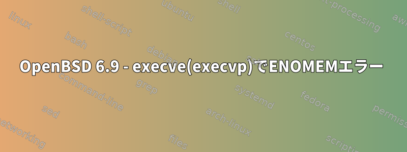 OpenBSD 6.9 - execve(execvp)でENOMEMエラー