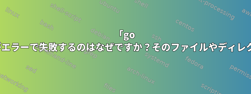 「go version」コマンドがエラーで失敗するのはなぜですか？そのファイルやディレクトリはありません。