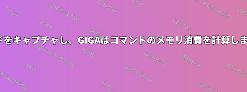 各PIDのコマンドをキャプチャし、GIGAはコマンドのメモリ消費を計算します（ソート）。