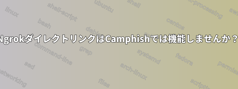 NgrokダイレクトリンクはCamphishでは機能しませんか？