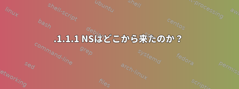 1.1.1.1 NSはどこから来たのか？