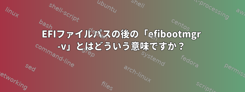 EFIファイルパスの後の「efibootmgr -v」とはどういう意味ですか？