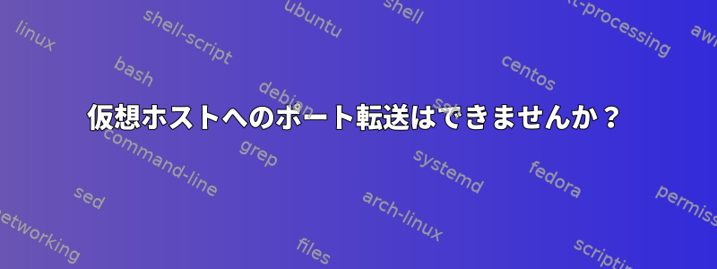 仮想ホストへのポート転送はできませんか？