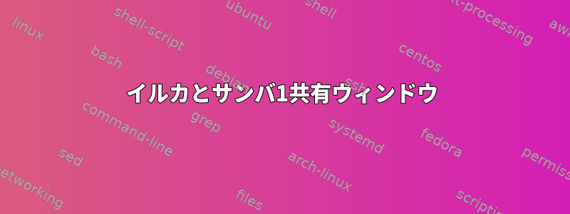 イルカとサンバ1共有ウィンドウ