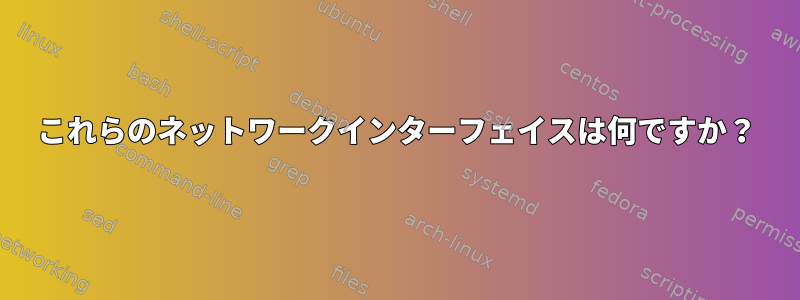 これらのネットワークインターフェイスは何ですか？