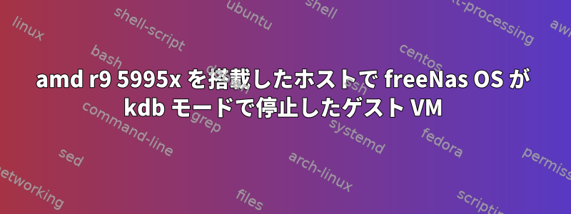 amd r9 5995x を搭載したホストで freeNas OS が kdb モードで停止したゲスト VM